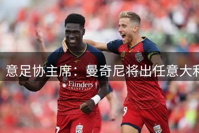 意足协主席：曼奇尼将出任意大利主帅 拉涅利任技术总监