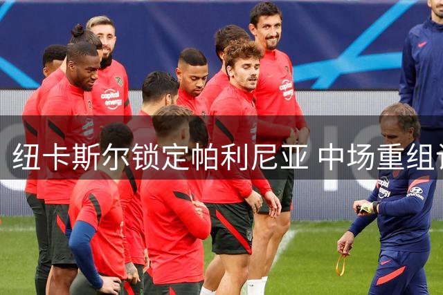 纽卡斯尔锁定帕利尼亚 中场重组计划浮出水面